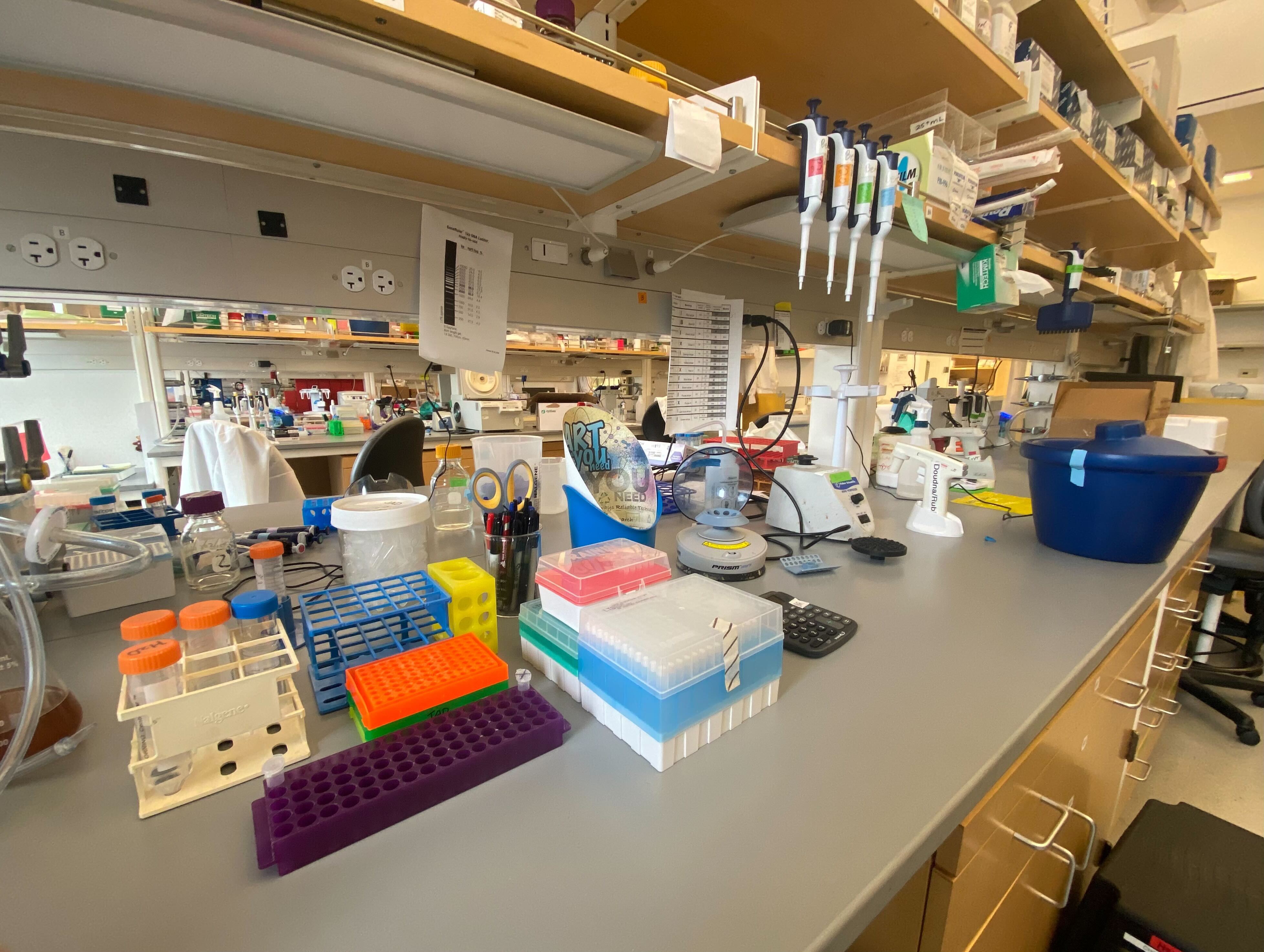 First Lab Space