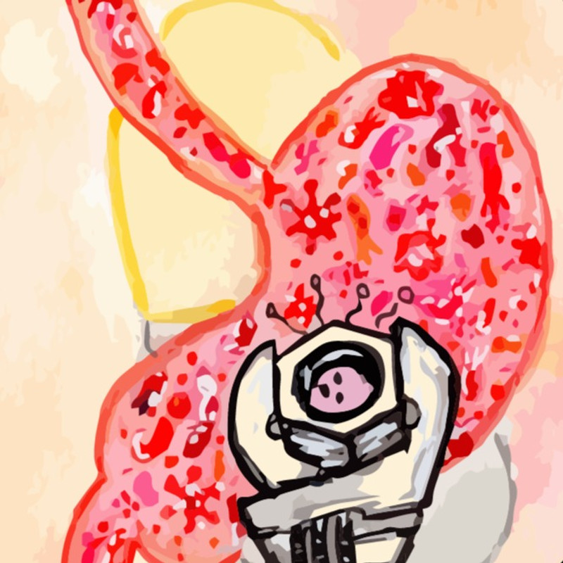 Gut microbiome research